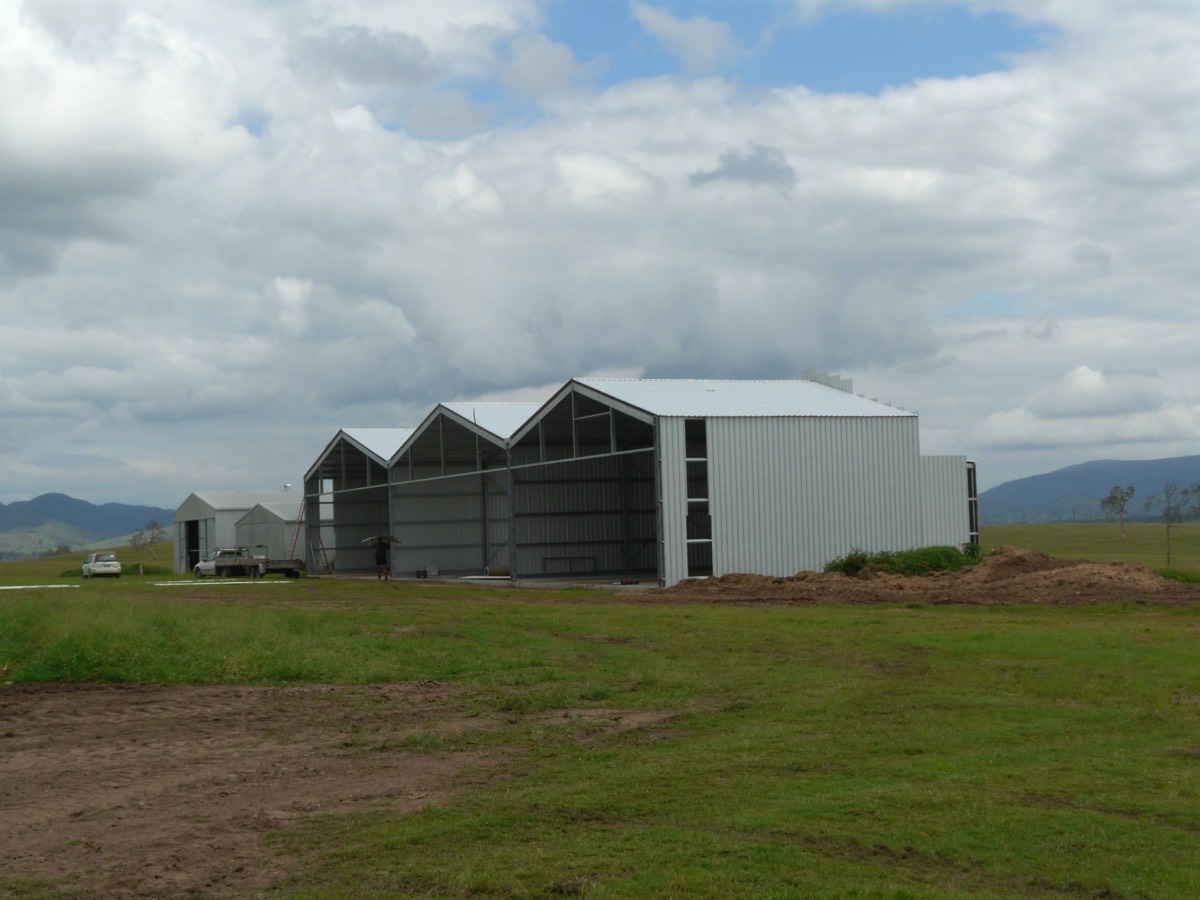 Stacks Image 222