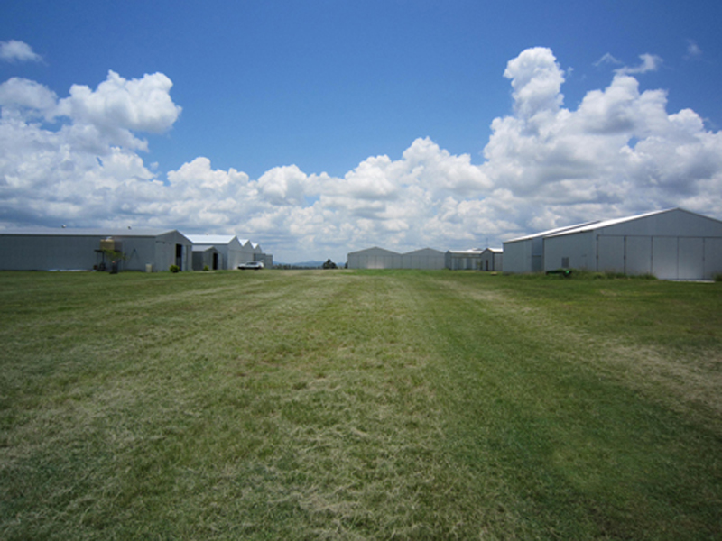 Stacks Image 96